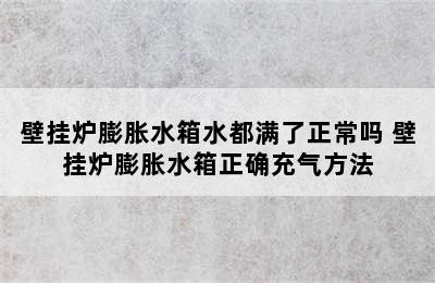 壁挂炉膨胀水箱水都满了正常吗 壁挂炉膨胀水箱正确充气方法